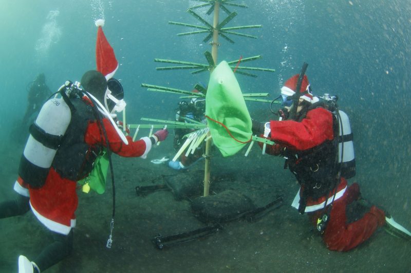 1dc4a6d435434f31082bea9d4d8c5592