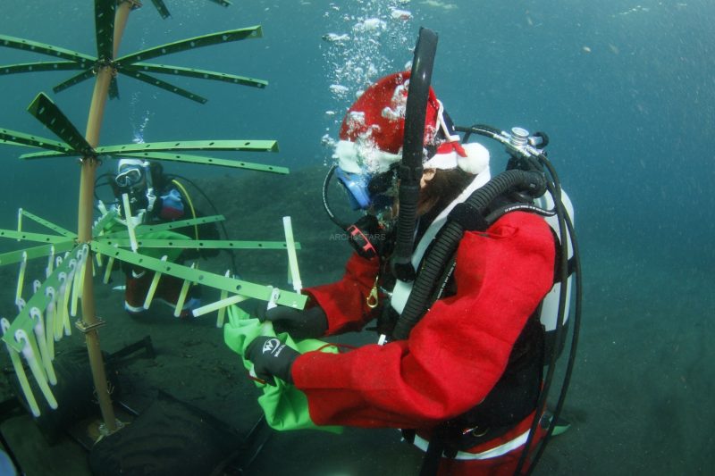 7c8ba30c67aed93634bd357327e403f2