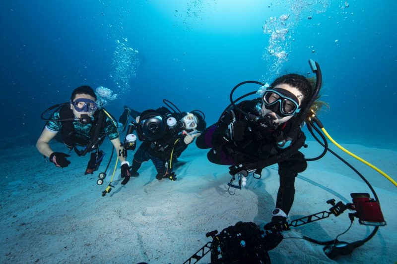 48245247.271DB4A5A6A24846954CAF3C81F700B3.20021913