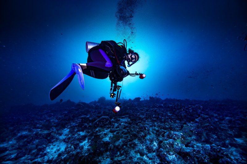 48245247.6FD4FA7697974CC1B0A322688B460069.20021913