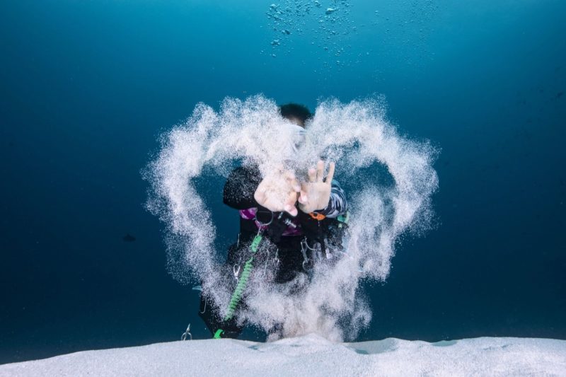 48245247.B5A41B974E254E368283D3579BCB9005.20021913