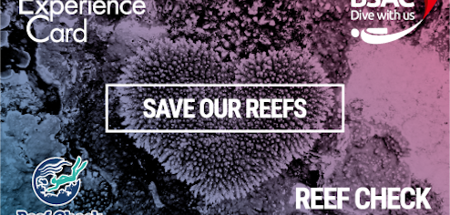 リーフチェック