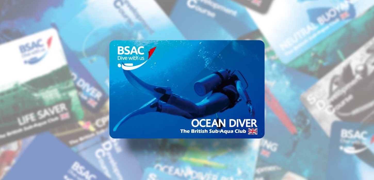 初級ライセンス